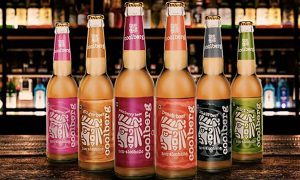 Coolberg - India’s first Crafted Zero Alcohol Beer